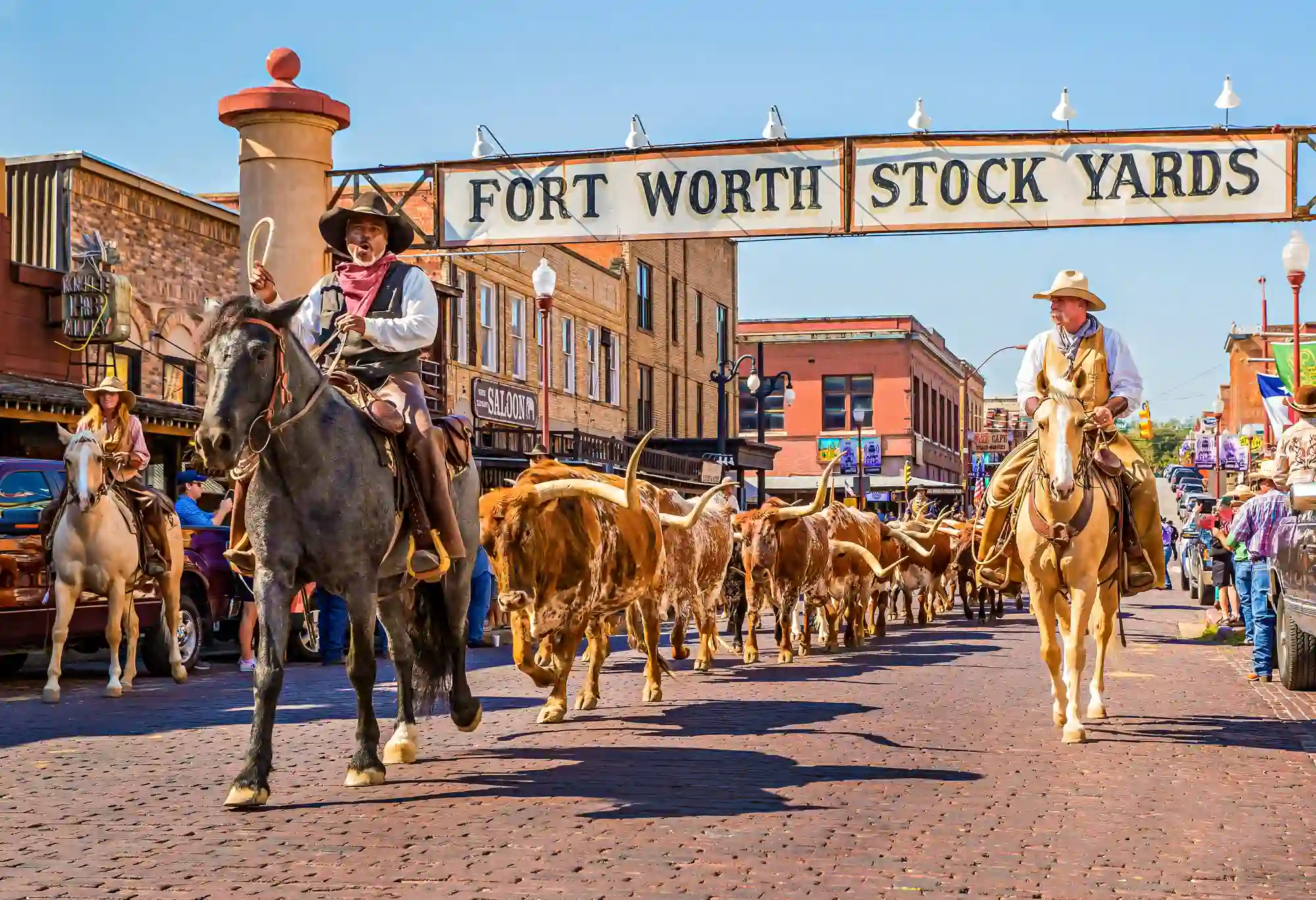 Vaqueros conduciendo ganado longhorn en los Fort Worth Stockyards, experiencia texana para visitantes del Mundial 2026